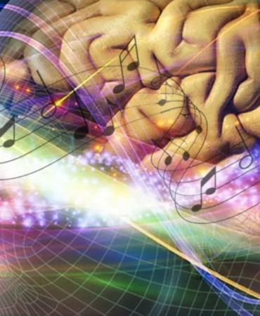 Anadolu Sifasi Neden Onemli