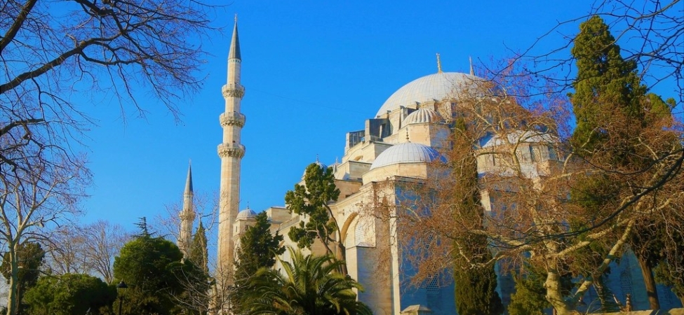 Mavi gökyüzü altında, ağaçların arkasında yükselen kubbeli ve minareli Süleymaniye Camii